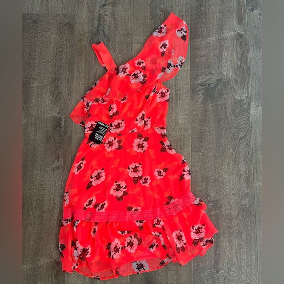 Express Dress - Picture 3 of 3